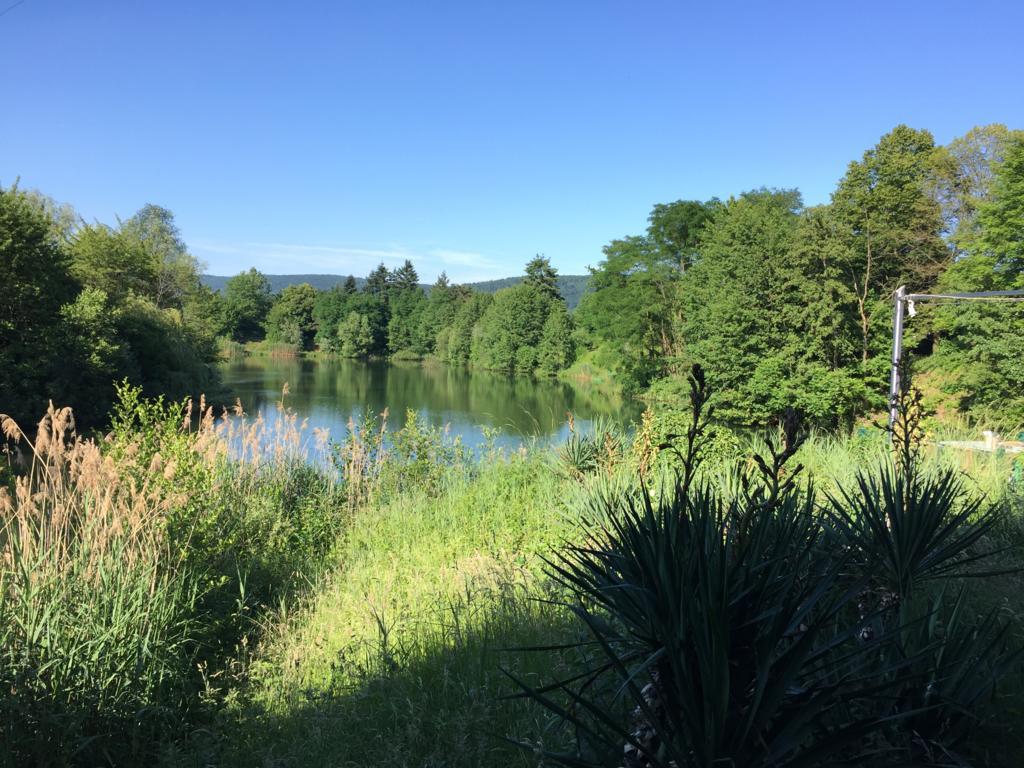 Guesthouse Lichtenau Nußloch Εξωτερικό φωτογραφία